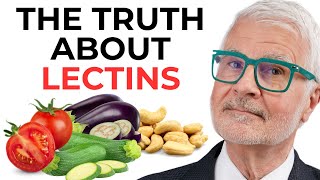 Dr Gundry on Lectins  What Lectins Can do to YOUR Health  Inflammation amp Leaky Gut [upl. by Teirrah126]