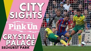 City Sights Crystal Palace 2  0 Norwich City Selhurst Park [upl. by Placeeda607]