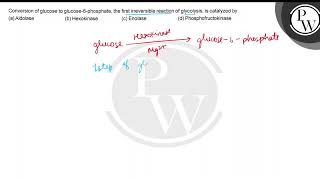 Conversion of glucose to glucose6phosphate the first irreversibl [upl. by Notnil]