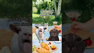 Picknicken mit meiner Freundin catmemes katzen beziehung [upl. by Aihseym]