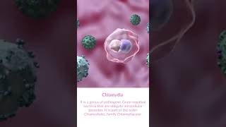 What is Chlamydia bacteria [upl. by Otrebmal421]