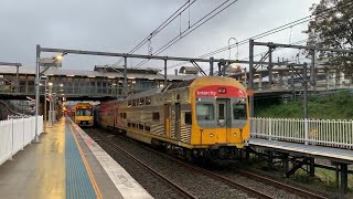 2190ST Transport Vlog 783 Sydney Trains amp NSW Trainlink Intercity Hornsby Train Spotting Part 3 [upl. by Einor811]