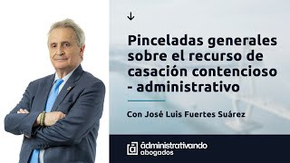 Pinceladas generales sobre el recurso de casación contencioso  administrativo [upl. by Nelleh]