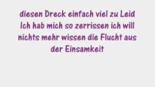 Panic  Keiner merkt es lyrics [upl. by Estren]