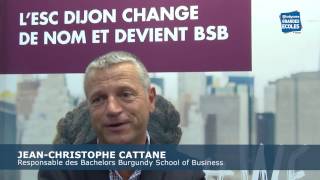 Bachelor de BSB ex Esc Dijon  ce quil faut savoir [upl. by Siloam]