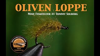 Oliven Loppe Mine fiskefluer og imitasjonsfluefiske Fluefiske i sjøen og salte fluer [upl. by Segalman]