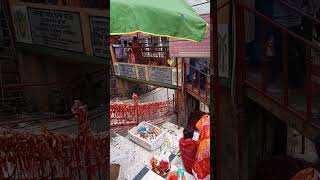 tarapithmandir tara MayerGhat trendingvideo shortsviral [upl. by Roer]