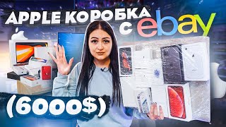 Купила MISTERY BOX с техникой APPLE на EBAY  НЕ КЛИКБЕЙТ  iPhone 12 Pro Max iPad  MacBook Pro [upl. by Nitsyrc]