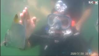 Scuba diving Goa goa [upl. by Iasi438]