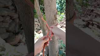 Do you Know This Knotropetutorial ropework ropeaccess diyrope [upl. by Lucky]