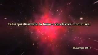 La Bible  Les Proverbes 10 [upl. by Ahcsat102]