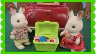 Calico Critters en español El tesoro escondido [upl. by Etem]