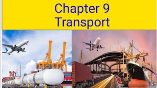 Class 5 chapter 9 Transport [upl. by Rattray]