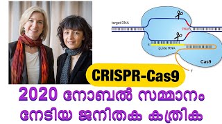 Chemistry Nobel prize2020  CRISPRCas 9 ജനിതക കത്രിക [upl. by Leena]