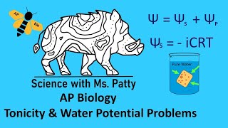 AP Tonicity and Water Potential [upl. by Malloy123]