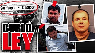 El Chapo Guzmán del Cártel de Sinaloa y su trayectoria [upl. by Alphonse]