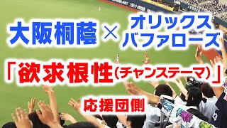 【大阪桐蔭 ×オリックス】『欲求根性チャンステーマ』 応援団側 バファローズ高校 応援コラボ 2019年6月2日 [upl. by Etteuqram809]