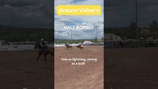 Dream Videos Calf roping is a rodeo event where a rider on horseback lassos a calf around the neck [upl. by Mcspadden]