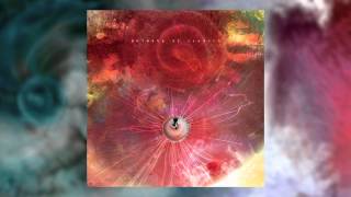 ANIMALS AS LEADERS  MindSpun [upl. by Signe]