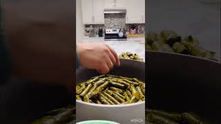 The Art of Stuffed Grape Leaves [upl. by Ahtibbat]