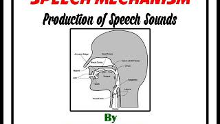 Production of Speech Sounds [upl. by Sallee]