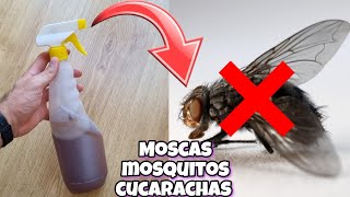 Dile ADIÓS a moscas mosquitos y cucarachas con este REPENTE CASERO para HOGAR y JARDÍN Con canela [upl. by Theta39]