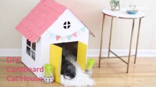 How To Build A Cat House  Cutenesscom [upl. by Dierolf]