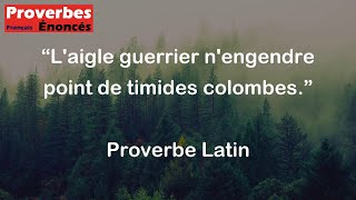 Proverbe Latin  Laigle guerrier nengendre point de timides colombes [upl. by Aip]