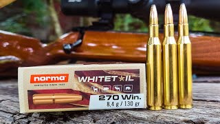 Norma Whitetail 270 Win  100 Yard Group Test [upl. by Demeter]