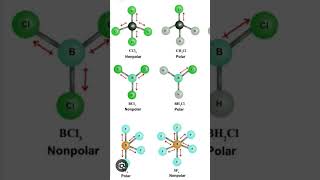 Polar amp Nonpolar bondphysicswallah chemical shorts shortsviral [upl. by Sadirah758]