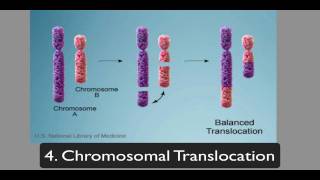 chromosomalmutations [upl. by Badr]