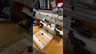 Cobot universal robots demo Application with camera [upl. by Polito]