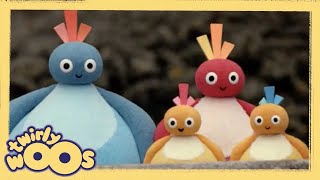 Behind  Twirlywoos  Videos for Kids [upl. by Tinaret]