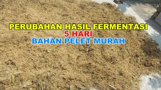 PERUBAHAN HASIL FERMENTASI BAHAN PELET MURAH Bag3 [upl. by Buchanan508]