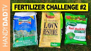 Is Organic Fertilizer Worth the Money  Milorganite vs Ringer vs Scotts [upl. by Eveneg]