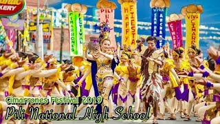 CIMARRONES FESTIVAL 2019 CHAMPION Pili National HighSchool JestoniLanceroVlogs [upl. by Giulio350]