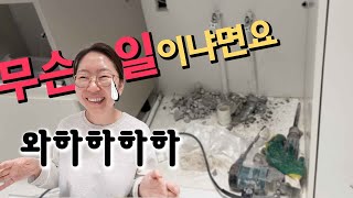 집이 또ㅋㅋㅋ😅 3대모녀가 모이면 쪽쪽이 적응중 젖병 거부 폭설 김장 홈카페 4살 4개월 남매 육아 [upl. by Shauna]