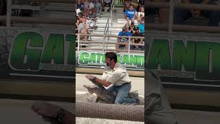 Daring Alligator Handler Opens Gator’s Mouth to Show Teeth – Close Call Bite  Gatorland Wild Show [upl. by Retrop194]