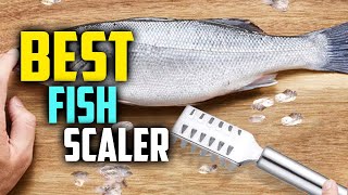 Best Fish Scaler 2024  Fish Cleaning Tools 2024 [upl. by Ackley]