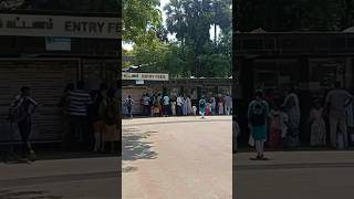 Vandalur Zoo Ticket Price 2024 amp Visiting Hours shorts [upl. by Yokum576]