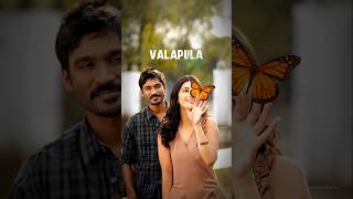 Kannuladha Song Lyric  3 Movie Songs  Dhanush Shruti  Anirudh [upl. by Ferde]