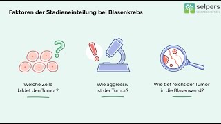 Welche Stadien gibt es bei Blasenkrebs Experte informiert [upl. by Lali396]