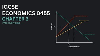 IGCSE Economics 0455 Chapter 3  Microeconomic decision makers  2023  2025 syllabus [upl. by Prober]