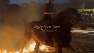 crazy horse team irbis acrobatics [upl. by Oinotna]