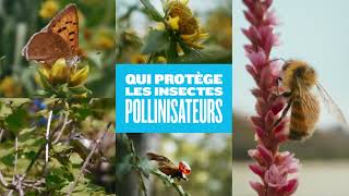 La biodiversité cest dans notre nature [upl. by Ahseem]