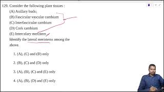 Consider the following plant tissues  A Axillary buds B Fascicular vascular cambium [upl. by Cimah]