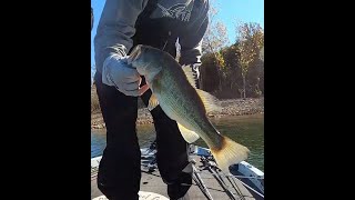 Table Rock Lake Bass Fishing [upl. by Keese333]