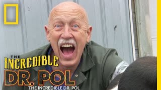 The Incredible Dr Pol  Teaser Trailer  The Incredible Dr Pol [upl. by Notxarb]