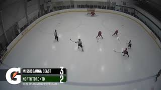 2023 U11 AA GTHL Championship Series Game 2 Highlights [upl. by Asirret]