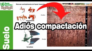 🌱 Lo que debes saber para solucionar la COMPACTACIÓN DE SUELO para tus plantas [upl. by Ericha]